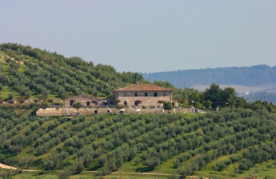 Country House sul Lago Trasimeno in Umbria
