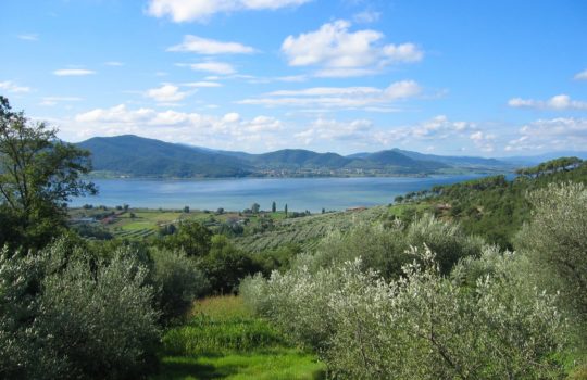 Country House sul Lago Trasimeno in Umbria